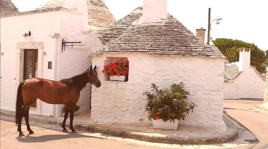 Trulli Resort Dimore Storiche อัลเบโรเบลโล ภายนอก รูปภาพ